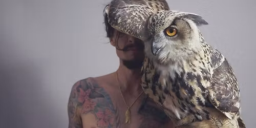 Justin Hawkins Rides Again