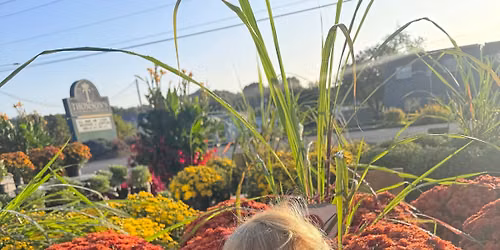 Maeve\u2019s 2nd Mum Fest