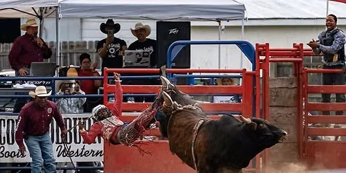 Insights in History \u2013 African American Cowboys (and Cowgirls!)