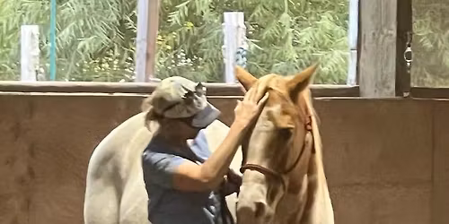 Woman's Workshop with Horses at Oregon Horsemanship - Find Connection and Community
