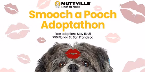 Smooch a Pooch fee-free adoption event, Muttville Senior Dog Rescue