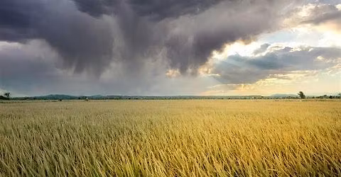 Calm in the Face of the Storm | Grounded Leadership