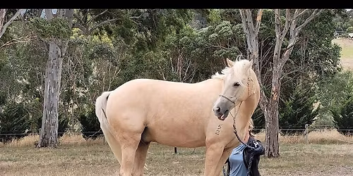 NOTE CHANGE OF DATE TO SUNDAY MAY 31st\u2026.Fleurieu Equestrian Clubs June rally