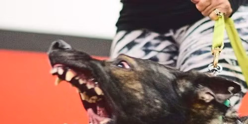 Reactive Dog, Fearful, Aggessive, Possessive, Seminar Help