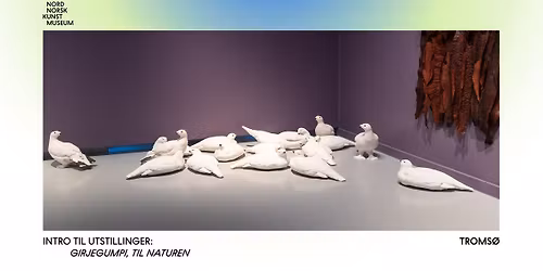 Intro til utstillinger: "Girjegumpi", og "Til Naturen"