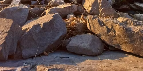 14. Civil Csoport H\u00e9tv\u00e9ge ( CCH 2026)