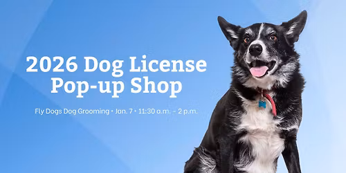 2026 Dog License Pop-up Shop