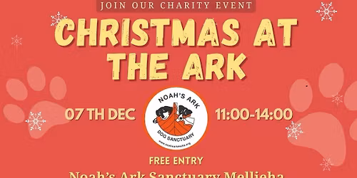 Christmas at the Ark \ud83c\udf84\u2744\ufe0f