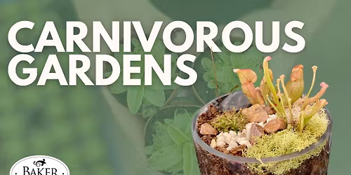 Carnivorous Gardens Workshop