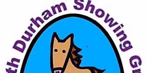 SDSG CHRISTMAS FUN SHOW