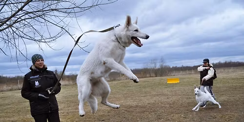 EVL\u00dc Karikas 2026 1. etapp (EKL arvestuse v\u00f5istlus)