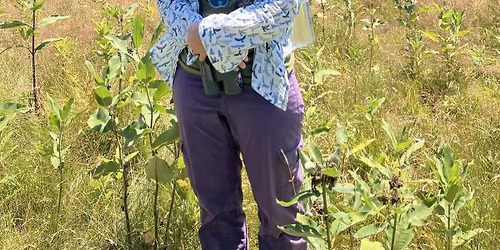 A Celebration of Stories and Science from The Spark Bird Project