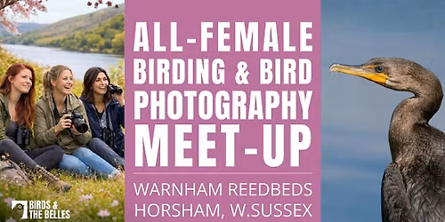All-Female Bird & Bird Photography Morning