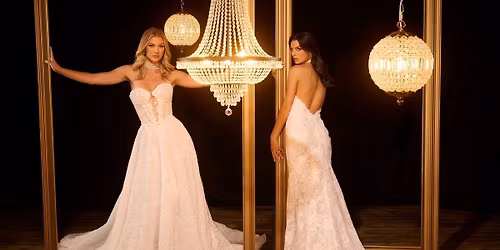 \u2728 Frosted Elegance Holiday Showcase \u2728