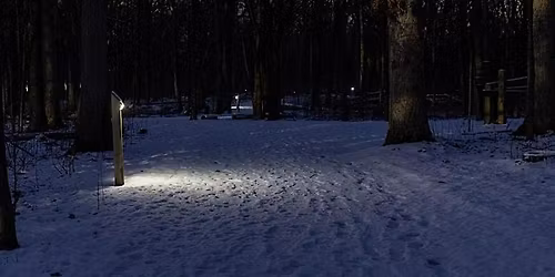 WWE IL: Winter Solstice Solar Lit Night Hike at Old School Forest Preserve