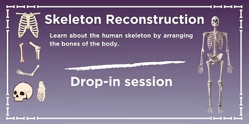 Skeleton Drop-in Session