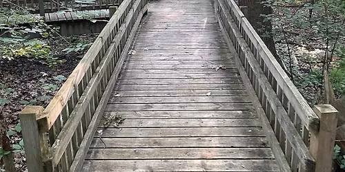 *Neuro-diversity Affirming Nature Play