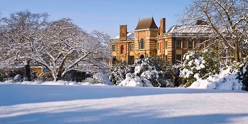 Festive Community Day