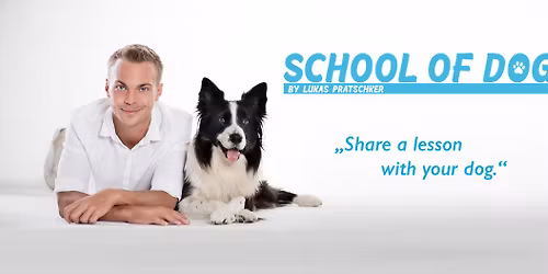 Dog Sport Jumping \u00ae\ufe0f- Das sportarten\u00fcbergreifende Sprungkonzept