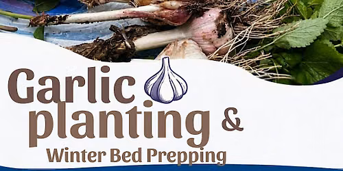 Garlic Planting & Winter Prepping