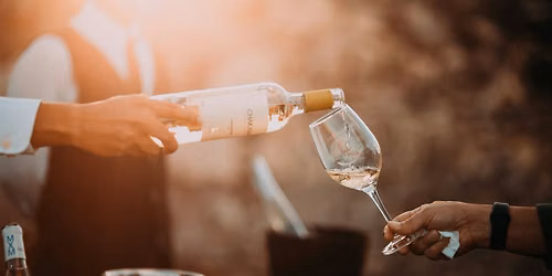 Vinfestival 2026