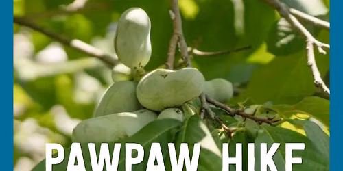 Pawpaw Hike