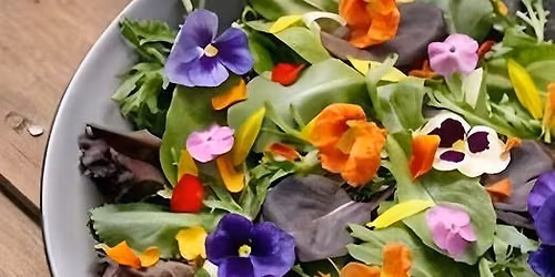 Edible Flowers