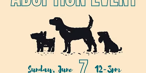 Bishop Hill Tavern Fundraiser