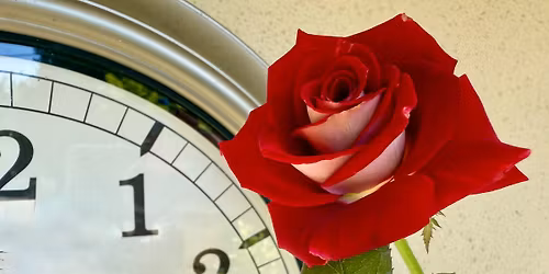 Regional Rose Show and Sale