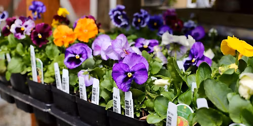 Mother's Day Weekend at Falling Water Gardens