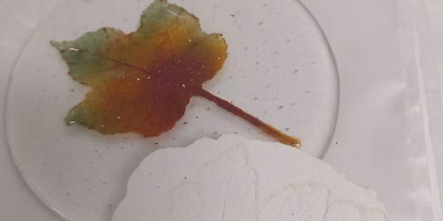Glass Leaf Casting - 2 Day Workshop
