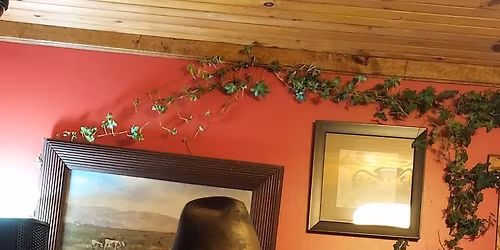 Jimmy "The Jammer" Wilson at Buffalo Mountain Brewery for a preThanksgiving Musical Feast