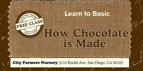 How Chocolate is Made