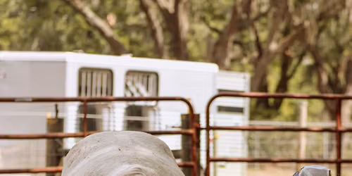 Advanced Liberty Clinic