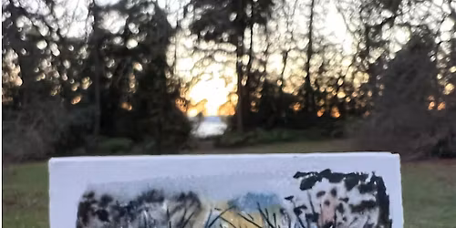 Drawing Class: Nature journaling - trees made easy