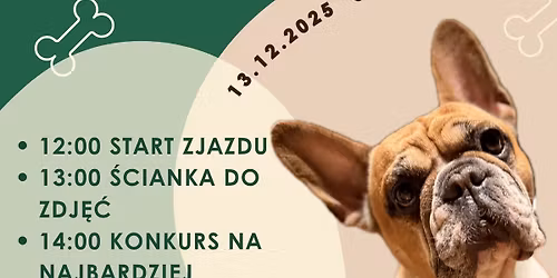 Zjazd BULDO\u017bK\u00d3W w Psikawce! \ud83d\udc3e