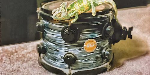 Trubadurquiz p\u00e5 V\u00e4sterports K\u00f6k med Kameleonterna