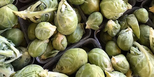 Wednesday Farmers Market