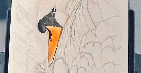 Exploring Colored Pencil with Christina Brown