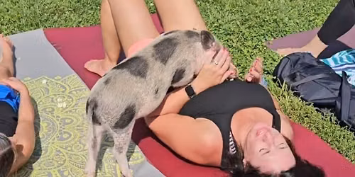 Piggies & Pilates at Hops On The Hill Brewery!