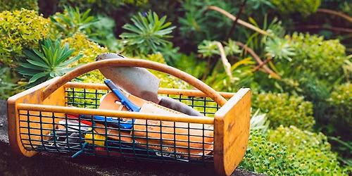 Meet the MVP\u2019s of Garden Tools - It\u2019s Time to Gear Up for Garden Season!