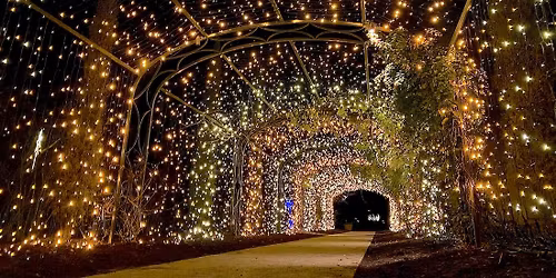 Nashville Christmas at The Rex Theatre