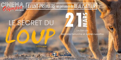 Le Secret du Loup d’Éthiopie - Echange avec le Réalisateur
