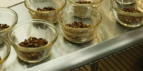 Spring Cupping 2026