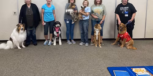 Read to Certified Therapy Dogs (No Registration Required!)