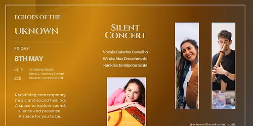 Silent concert by Echoes of the Unknown