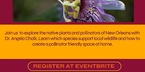 Native Plants and Pollinators