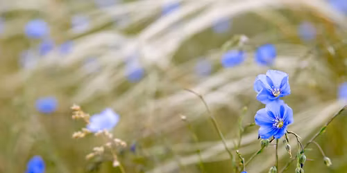 Bels\u0151 HangOm- "Tavaszod\u00f3"