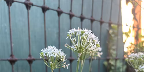 Holy Trinity Church Spring Planting