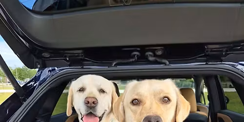 Reactivity and Socialization Class 